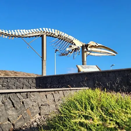 カントリーハウス Casa Tio Manuel