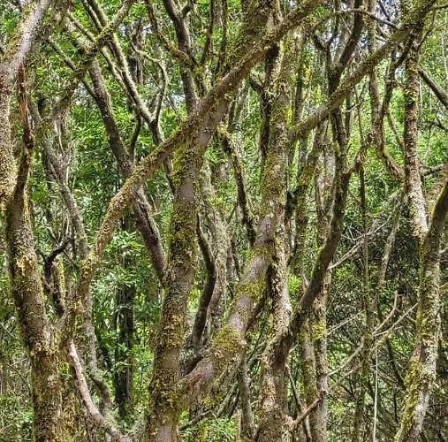 Casa rural Casa Tio Manuel *