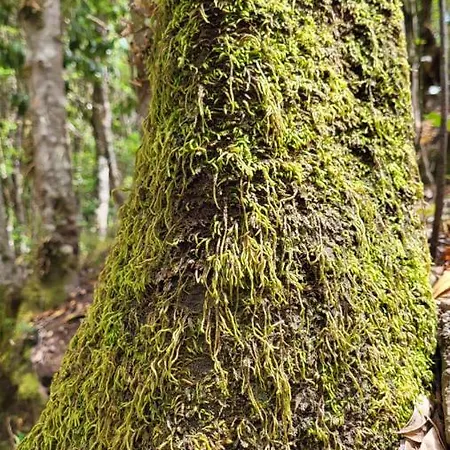 Country house Casa Tio Manuel