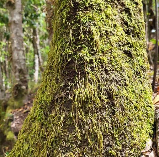 컨트리하우스 Casa Tio Manuel