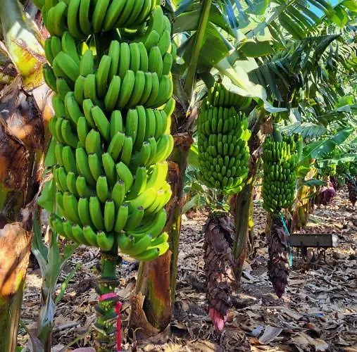 Casa Tio Manuel Casa di campagna